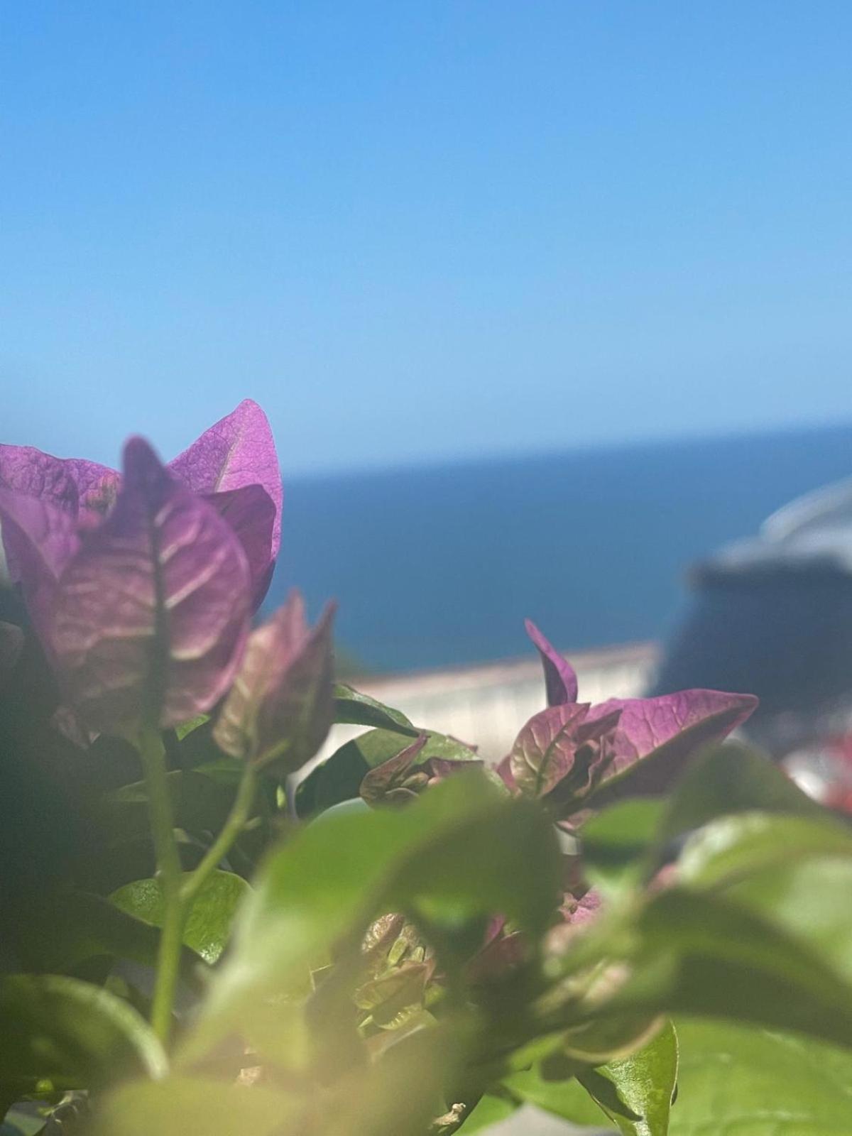 Casa Sundaville Peschici Exteriér fotografie