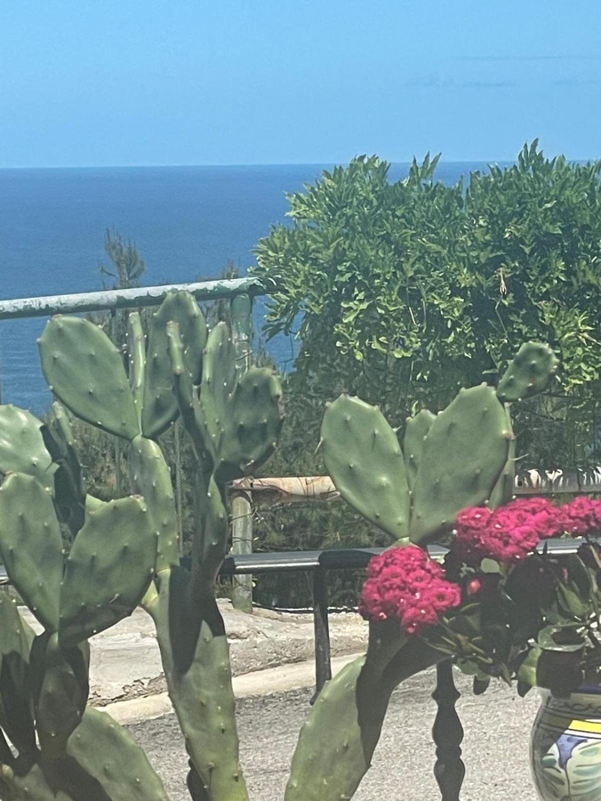 Casa Sundaville Peschici Exteriér fotografie