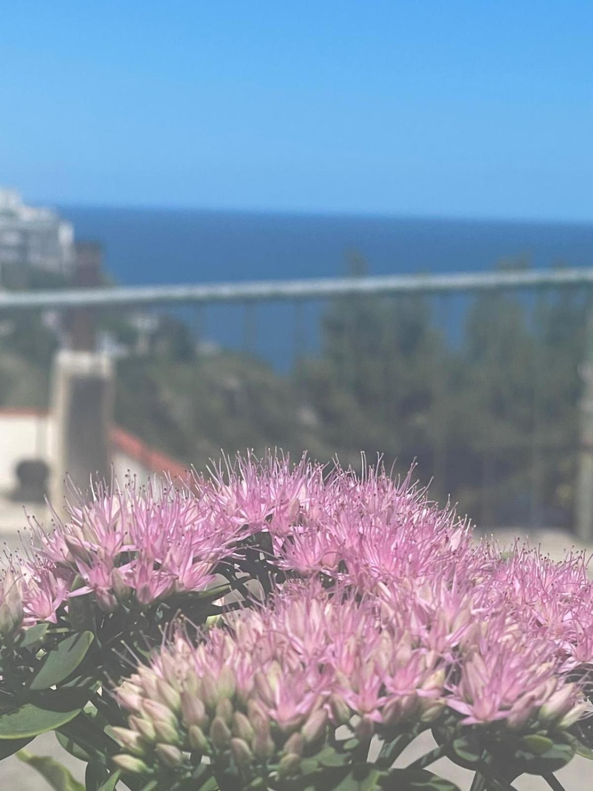Casa Sundaville Peschici Exteriér fotografie